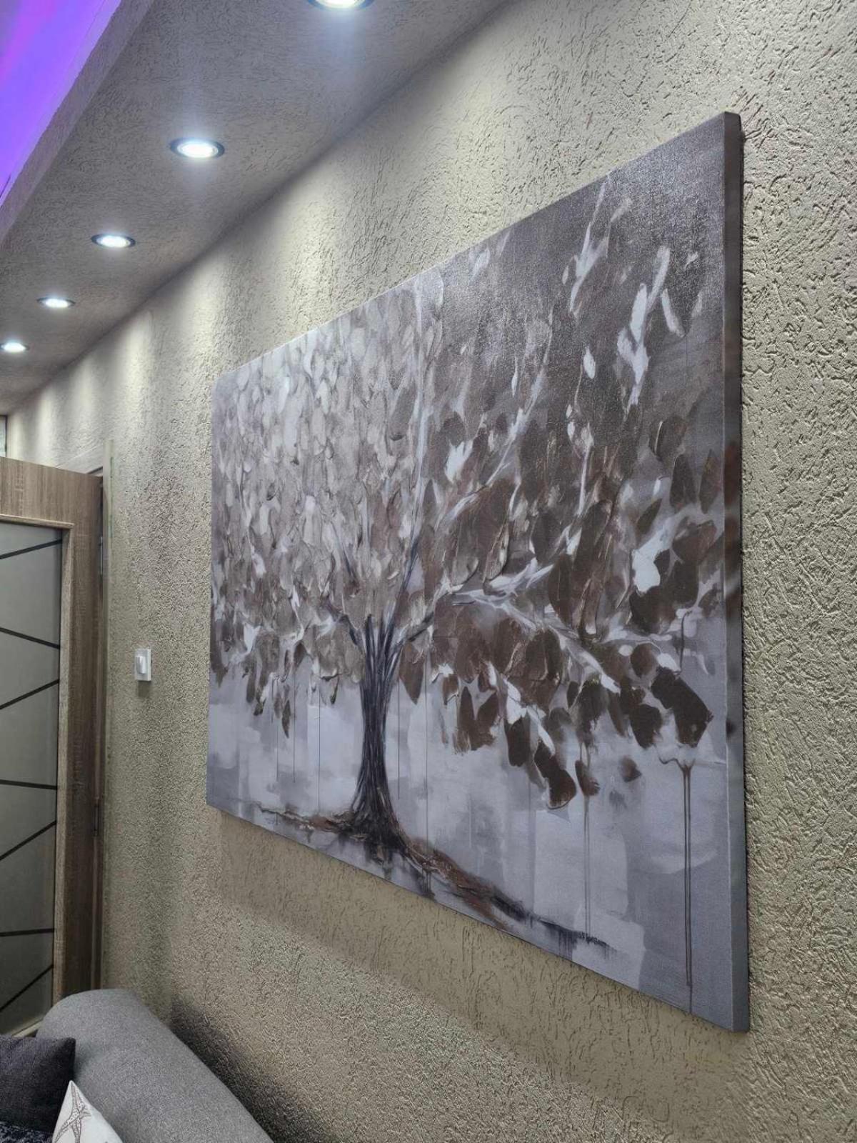 דירות קוטור Sun Rays מראה חיצוני תמונה